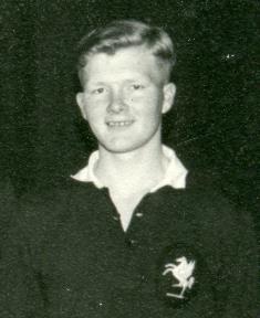 Don Gibb (Football 1955)